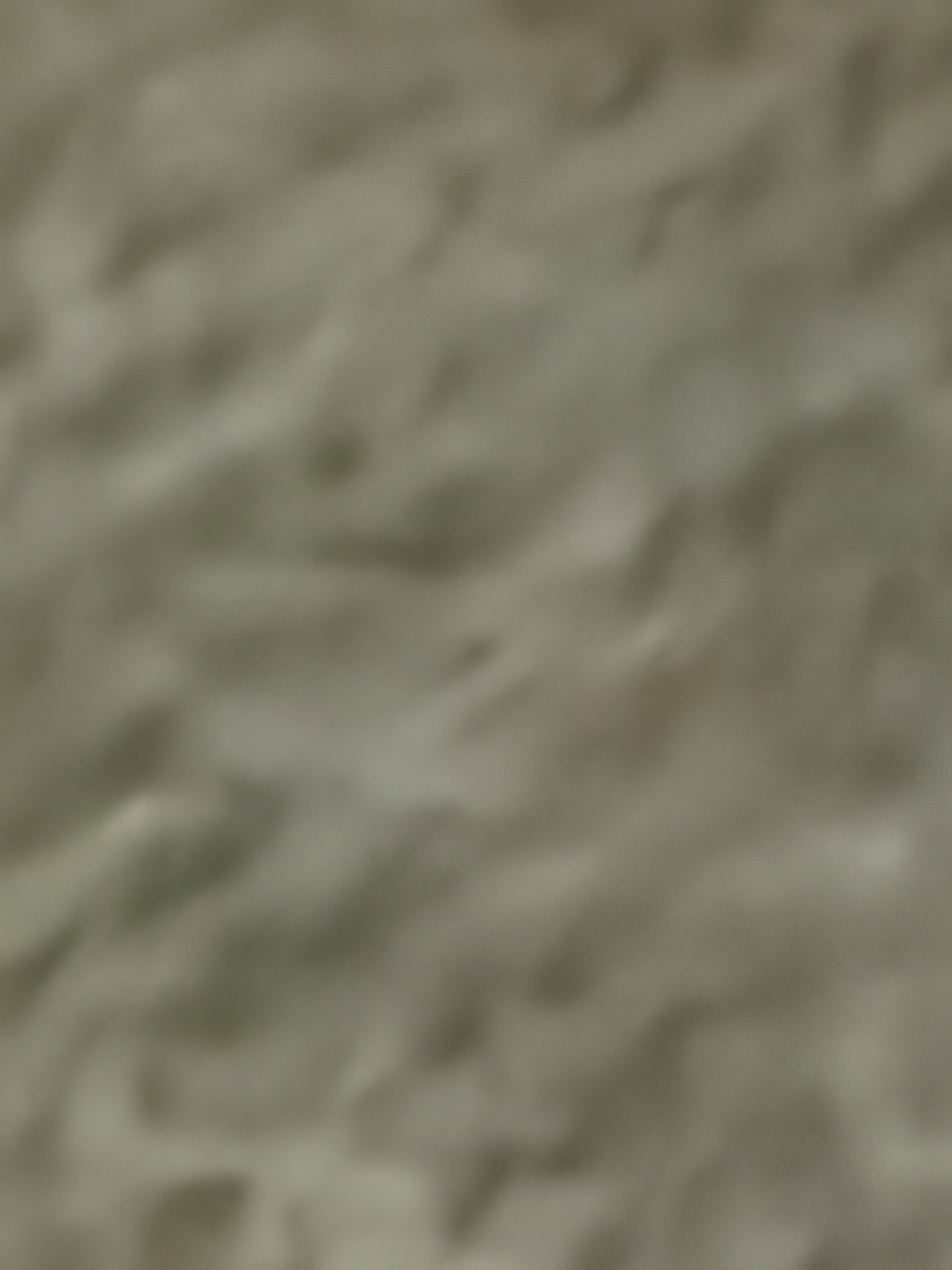 1779561091_6a11f283d7c38.jpg